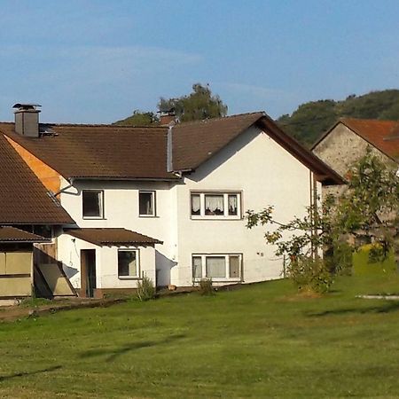 Ferienwohnung Auf Dem Pferdehof Schotten Bagian luar foto